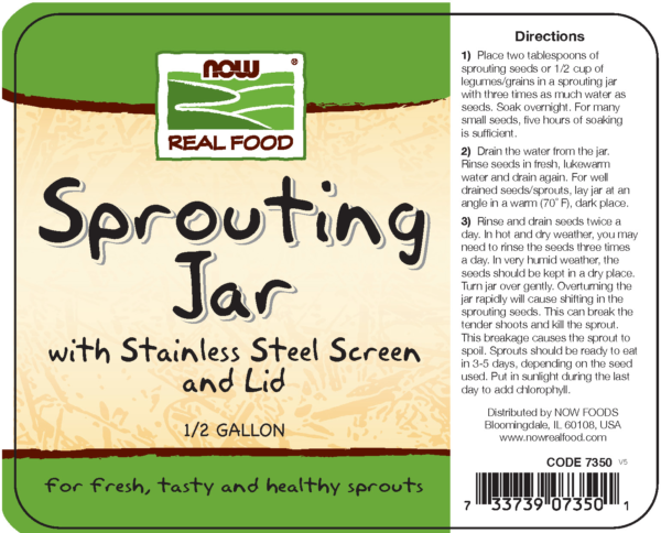 Sprouting Jar - Image 2