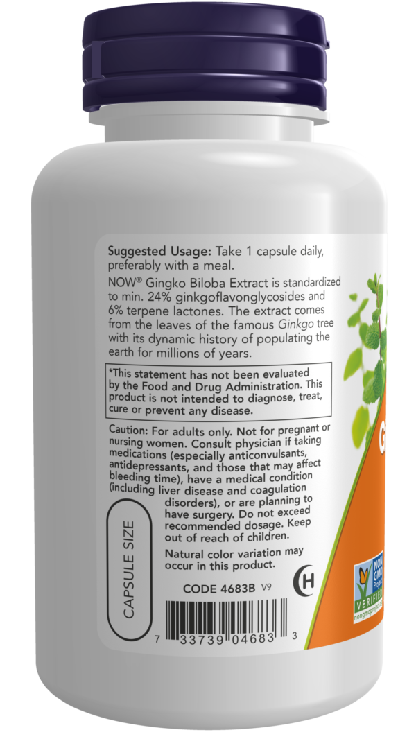 Ginkgo Biloba, Double Strength 120 mg - 100 Veg Capsules - Image 3
