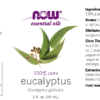 Eucalyptus Globulus Oil - 2 fl. oz. - Image 2