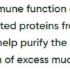 Enzymedica Enzyme Defense 60 Caps - Image 2